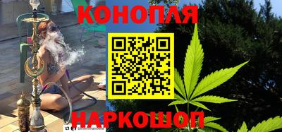 стаф Дубна