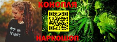 стаф Дубна