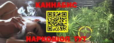 стаф Дубна